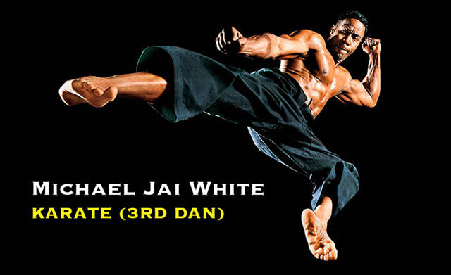 Celebrities Who Also Happen To Be Black Belts