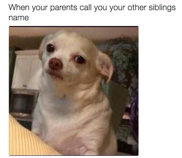 Life With Siblings Can Be Challenging