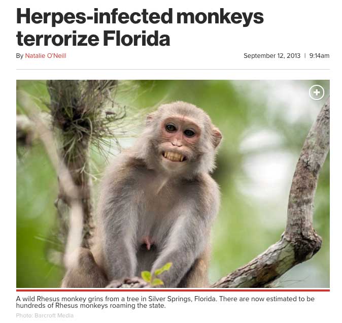 24 Insane News Headlines That Could Have Only Come From Florida