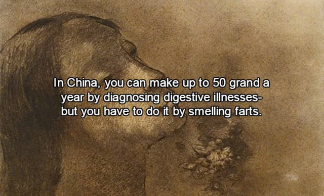 Interesting Facts About Farts That Will Surprise You