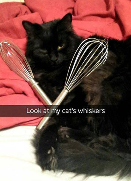 Funny Snapchats To Help You Kill Some Time