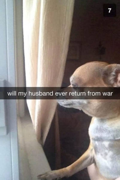 Funny Snapchats To Help You Kill Some Time
