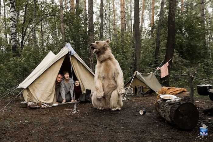 Pet Bear Stars In Family Photo Shoot