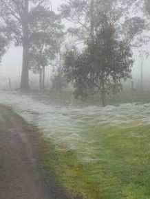 What Australia Looks Like In The Winter