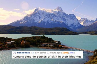 Disgusting Reddit Comments That Will Teach You A Lot About Your Body