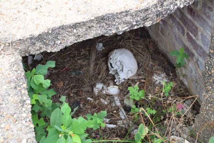 Curious Explorer Finds Something Creepy In An Old Cemetery
