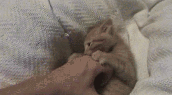 Daily GIFs Mix, part 803