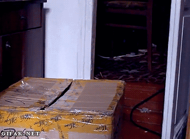Daily GIFs Mix, part 803