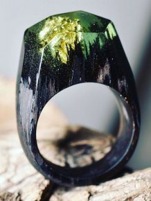 The Different Seasons Are Captured Inside These Impressive Wooden Rings