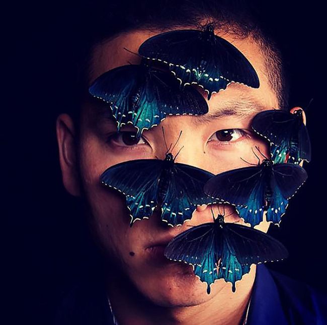 How One Man Repopulated A Rare Butterfly Species In His Backyard