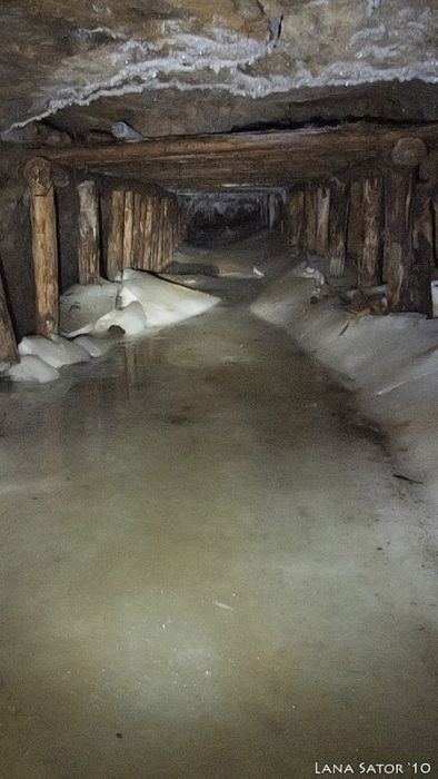 Mysterious Tunnel Discovered In An Old Shed
