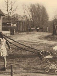 Vintage Photos That Will Leave You Baffled