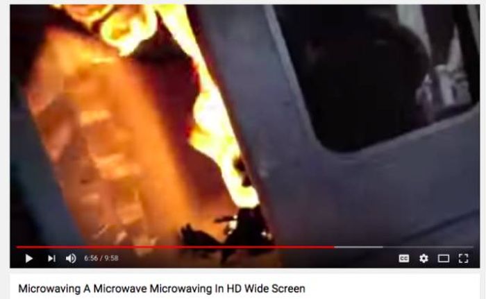 21 Things You Definitely Shouldn’t Microwave, That People Put In The Microwave