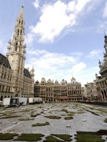 Brussels Is Now Covered By A Beautiful Flower Carpet