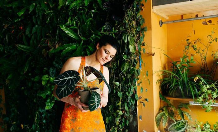 Girl Stashes More Than 500 Plants In Her Apartment
