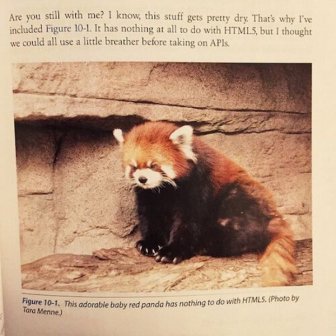 Strange Things That Have Been Spotted In School Textbooks
