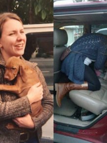 First And Last Pictures Of Pets That Will Tug At Your Heart Strings