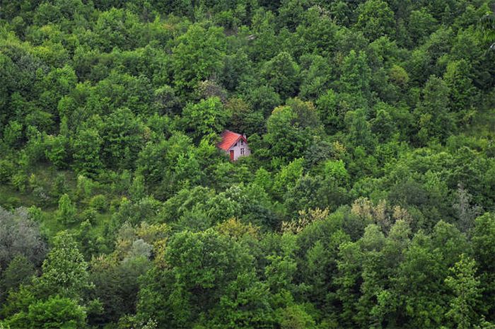Secluded Cabins In The Woods That Are Perfect For A Getaway