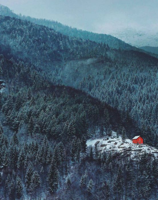 Secluded Cabins In The Woods That Are Perfect For A Getaway