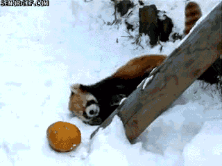 Daily GIFs Mix, part 804