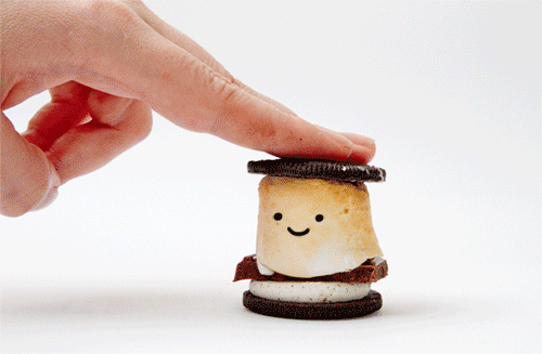 GIFs With Hilariously Added Faces That Will Keep You Laughing All Day