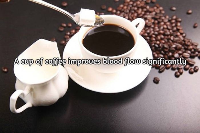 Interesting Facts About Coffee, The World's Most Important Drink