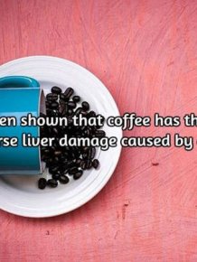 Interesting Facts About Coffee, The World's Most Important Drink