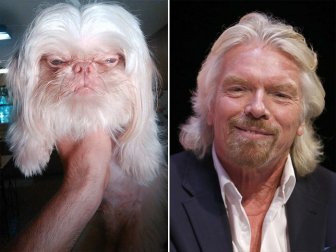 Celebrities Get Compared To Their Dog Look-Alikes