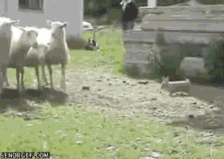 Daily GIFs Mix, part 805