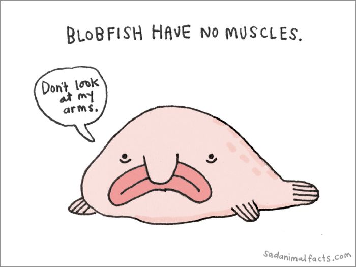Prepare To be Surprised By These Amusing Animal Facts