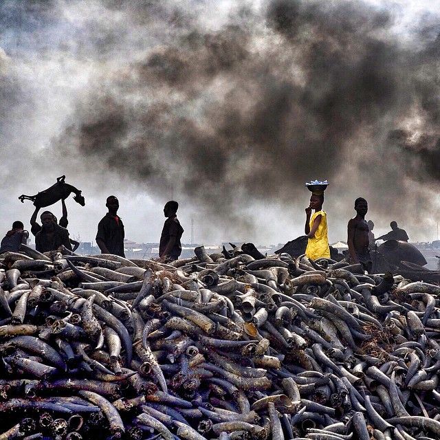 This Is Why You Need To Start Following National Geographic On Instagram