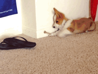 Daily GIFs Mix, part 807