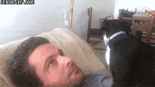 Daily GIFs Mix, part 808