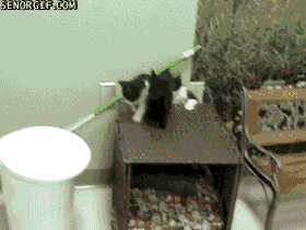 Daily GIFs Mix, part 808
