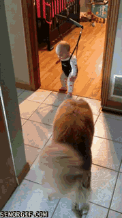 Daily GIFs Mix, part 809