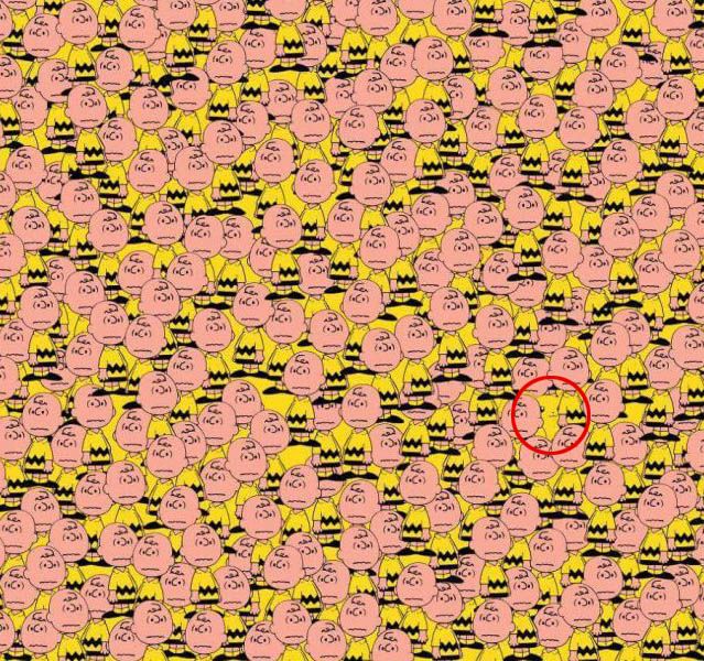 See If You Can Spot The Hidden Pikachu In This Picture