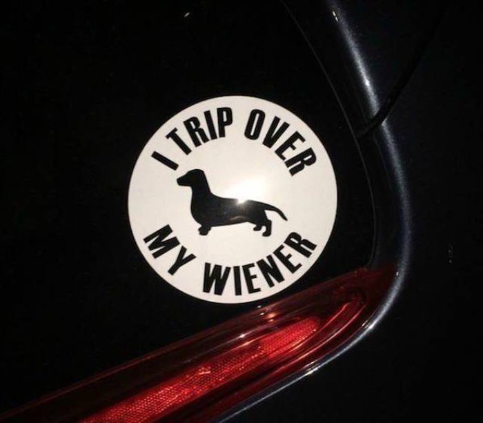 Funny Bumper Stickers That Anyone With A Sense Of Humor Can Appreciate