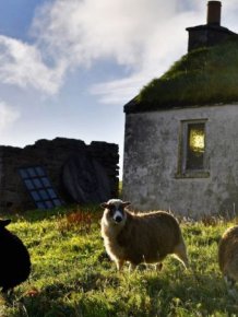 Interesting Pictures Show What Life Is Like On The Tiny Island Of Foula