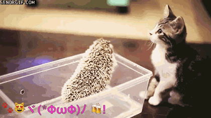Daily GIFs Mix, part 810