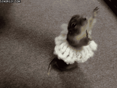 Daily GIFs Mix, part 810