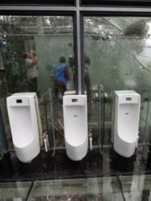 This Bathroom In A Chinese Park Has Translucent Walls