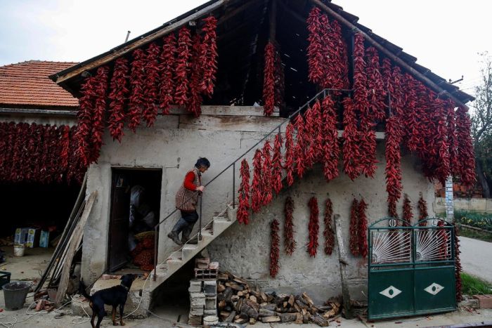 Interesting Pictures From The Serbian Paprika Capital Of The World