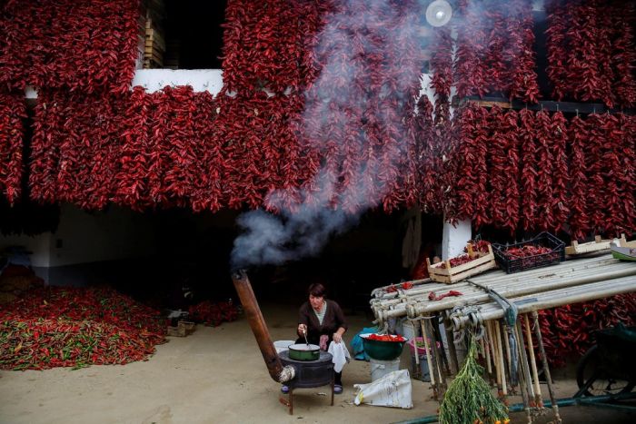 Interesting Pictures From The Serbian Paprika Capital Of The World