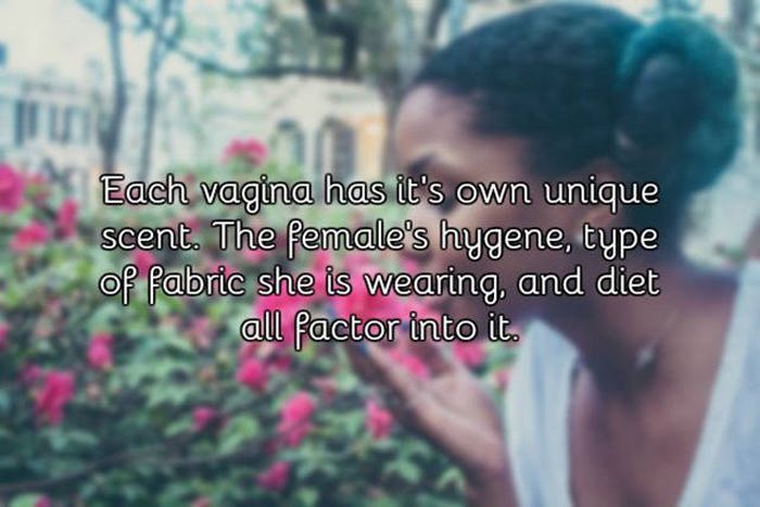 A Few Facts About The Vagina That You Probably Didn't Know