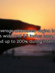 A Few Facts About The Vagina That You Probably Didn't Know
