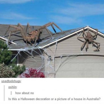 Posts That Prove Tumblr Is In Love With Halloween
