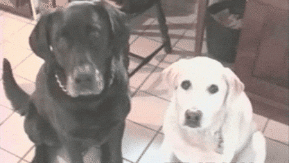 Daily GIFs Mix, part 814