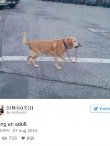 Funny Tweets About Growing Up That We Can All Relate To