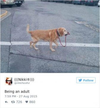 Funny Tweets About Growing Up That We Can All Relate To