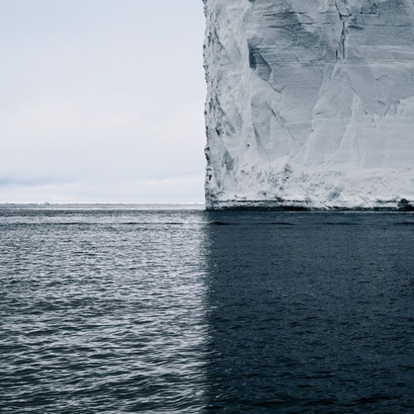 Picture Perfect Photos That Will Satisfy Every Perfectionist’s Soul